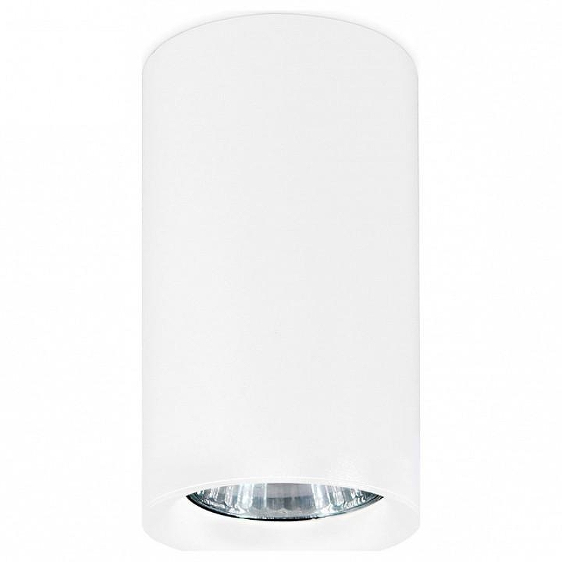 Накладной светильник Ambrella Light TN TN213133 