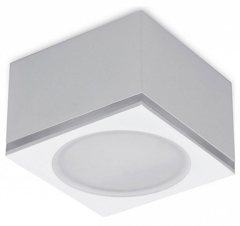 Накладной светильник Ambrella Light TN TN266 