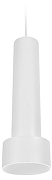 Подвесной светильник Ambrella Light TN TN501 цвет плафона/подвески Белый, цвет арматуры Белый