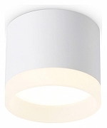 Накладной светильник Ambrella Light TN TN5365 цвет белый