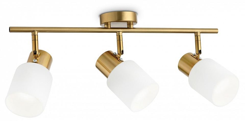 Спот Ambrella Light TR TR3972 