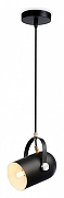 Подвесной светильник Ambrella Light TR TR8206 цвет плафона/подвески Черный, цвет арматуры Черный-1