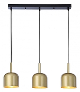 Подвесной светильник Ambrella Light TR TR97118 цвет плафона/подвески Золото, цвет арматуры Черный