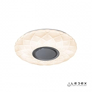 Накладной светильник iLedex Sphere ZN-XU36XD-GSR-Y -1