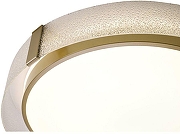 Накладной светильник Zortes Gerda ZRS.1097.60 цвет плафона/подвески Белый, Прозрачный, цвет арматуры Латунь-10