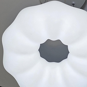 Подвесной светильник Zortes Soft ZRS.1119.01 цвет плафона/подвески Белый, цвет арматуры Серый-12