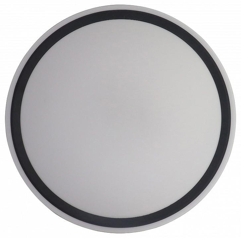 Накладной светильник Zortes Bella ZRS.1201.11 