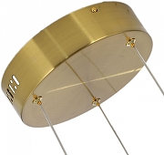 Подвесной светильник Zortes Lidia ZRS.30111.114 цвет плафона/подвески Прозрачный, цвет арматуры Бронза-4