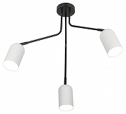 Люстра Rivoli Rosalinda Б0064987 цвет плафона/подвески Белый, цвет арматуры Черный-2
