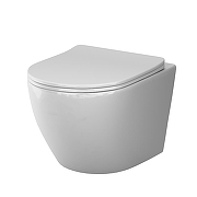 Унитаз AM.PM Like AquaSpin 2.0 C801901SC подвесной цвет Белый с сиденьем Микролифт