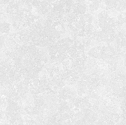 Керамогранит Saloni Markthal Светло-серый матовая 60x60 см-8