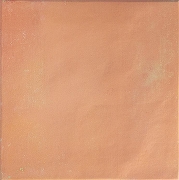 Керамогранит DNA Tiles Bow Square Cotto Бежевый матовая 18,5x18,5 см-1