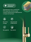 Смеситель для кухни Domaci Римини D569174CG цвет Золото-3