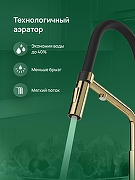 Смеситель для кухни Domaci Римини D569174CG цвет Золото-5