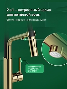 Смеситель для кухни Domaci Римини D569174CG цвет Золото-6