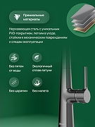 Смеситель для кухни Domaci Римини D569112GB цвет Вороненая сталь-3