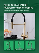 Смеситель для кухни Domaci Ливорно D8644GM цвет Золото матовое-8