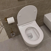 Комплект унитаза с инсталляцией STWORKI Ноттвиль SETK3104-2616-001-1-8000+510162+230823 цвет Белый с сиденьем Микролифт и клавишей смыва цвет Хром матовый-5