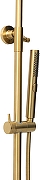 Душевая система Allen Brau Priority 5.31A10-GB цвет Золото браш-3