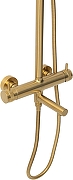 Душевая система Allen Brau Priority 5.31A10-GB цвет Золото браш-4