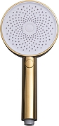 Ручной душ Allen Brau Priority 5.31B20-GB цвет Золото-3