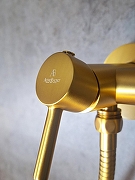 Гигиенический душ со смесителем AltroBagno Modern 060117 BG цвет Золото матовое-2