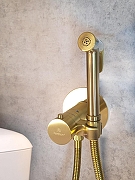 Гигиенический душ со смесителем AltroBagno Oggetto 060403 BG с термостатом цвет Золото матовое-1