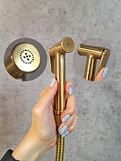 Гигиенический душ со смесителем AltroBagno Oggetto 060403 BG с термостатом цвет Золото матовое-5