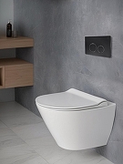 Клавиша смыва AltroBagno PFP 005DQ цвет Черный матовый-1