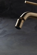 Смеситель для биде Allen Brau Priority 5.31A04-GB цвет Золото-4