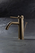 Смеситель для биде Allen Brau Priority 5.31A04-GB цвет Золото-9