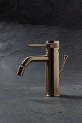 Смеситель для биде Allen Brau Priority 5.31A04-GB цвет Золото-10