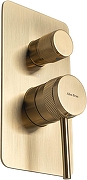 Смеситель для душа Allen Brau Priority 5.31A11-GB цвет Золото-2