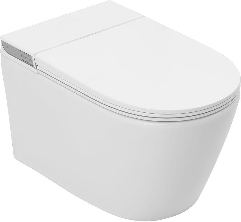 Унитаз биде Allen Brau Smart 4.I1001.20 подвесной 