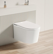 Унитаз биде Allen Brau Smart 4.I1001.20 подвесной цвет Белый с сиденьем Микролифт-1