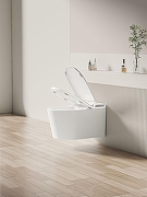 Унитаз биде Allen Brau Smart 4.I1001.20 подвесной цвет Белый с сиденьем Микролифт-22