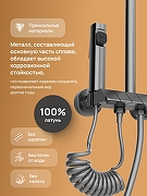 Душевая система DIWO Владимир D01180GB цвет Вороненая сталь-2