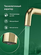 Смеситель для кухни Domaci Ливорно D8652GM цвет Золото матовое-5