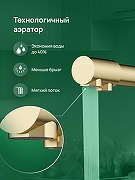 Смеситель для кухни Domaci Ливорно D8672GM цвет Золото матовое-5