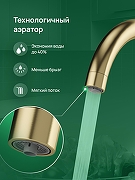 Смеситель для кухни Domaci Ливорно D8662GM цвет Золото матовое-5