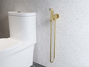 Гигиенический душ со смесителем Aquatek Альфа AQ1919BG цвет Золото шлифованное-1