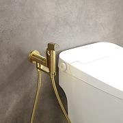 Гигиенический душ со смесителем Aquatek Альфа AQ1919BG цвет Золото шлифованное-2