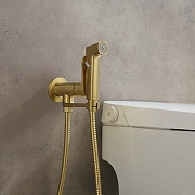 Гигиенический душ со смесителем Aquatek Альфа AQ1919BG цвет Золото шлифованное-3