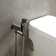 Гигиенический душ со смесителем Aquatek Альфа AQ1919BGM цвет Оружейная сталь-2