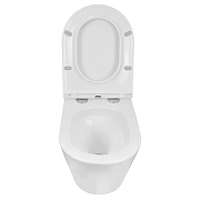 Комплект унитаза с инсталляцией Azario AZ-100-100F+AZ-0053-UQ3 цвет Белый с сиденьем Микролифт-9