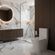 Унитаз компакт Azario Terra AZ-1373AT цвет Белый с бачком и сиденьем Микролифт-9