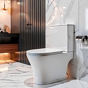 Унитаз компакт Azario Reina AZ-2785T цвет Белый с бачком и сиденьем Микролифт-12