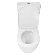 Унитаз компакт Azario Levita AZ-2903T цвет Белый с бачком и сиденьем Микролифт-4