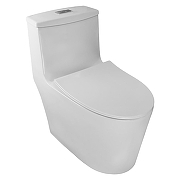 Унитаз моноблок Azario Bais AZ-5003 цвет Белый с сиденьем Микролифт-1