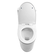 Унитаз моноблок Azario Bais AZ-5003 цвет Белый с сиденьем Микролифт-5